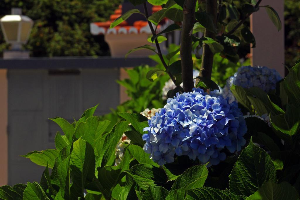 サンタナ Casa Os Manosゲストハウス エクステリア 写真